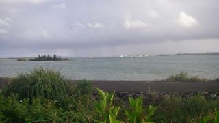 湾というよりは干潟のような場所です