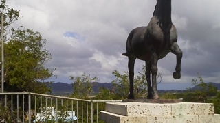 しっかりお馬さんが「赤馬の碑」～石垣～