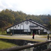 コウノトリ舞う兵庫県立コウノトリの郷公園 