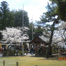 武田神社