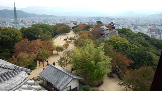 松山市内を一望