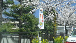 甲府と言えば、信玄公祭り