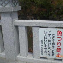 周りは池に囲まれています