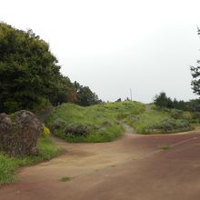 ラベンダーの山。今は終わりです。