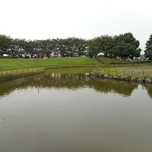 池もあります。