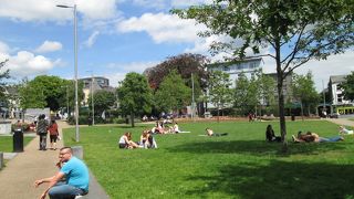 中心部にある緑の公園