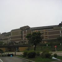 大きさに圧倒されました