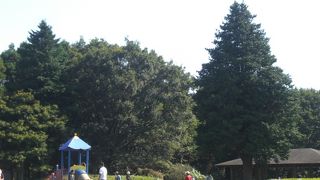 広い園内でバーベキューも出来、たくさん遊べる場所