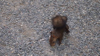 ちょっと行ったら自然がいっぱい！