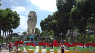 セントーサ島を見渡せる塔！