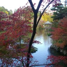 紅葉の庭園です