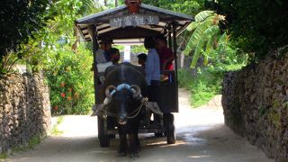 屋根にある赤褐色煉瓦とシーサーでも「竹富島の町並み」～竹富～