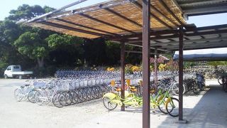 自転車の種類が豊富「友利レンタサイクル」～竹富～