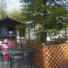 キリン近くのテラス