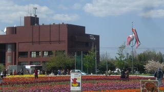 白子チューリップ祭り