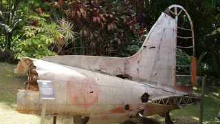 名物おばさん？の案内で