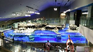 朝一が狙い目です！