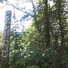 2014年８月現在の展望台の様子