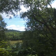 途中、辛うじて湖が望める場所もありますが・・・