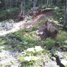 道路が崩落している箇所の様子