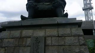 タケダシンゲンコウドウゾウ