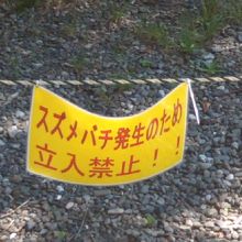 こんな掲示でロープ囲いされた場所も・・・