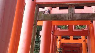 さすが！外国人に人気ナンパーワン