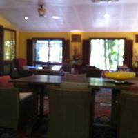 ネットや本を読んだりします