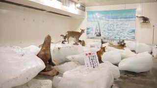 おみやげ屋さん併設の展示館