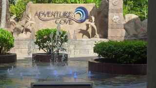 子供から大人まで楽しめます