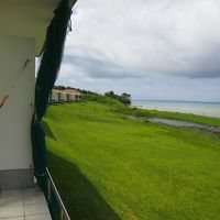 ハンモックでだらだらできます