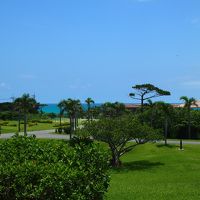 晴れると空の蒼さが素晴らしい