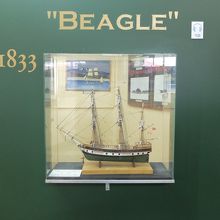 船舶関連の展示がある棟にはビーグル号の模型展示も。