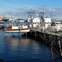 ビーグル水道のクルーズが出る観光桟橋