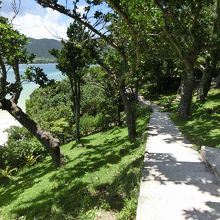 遊歩道は所々アップダウンや段差あり。