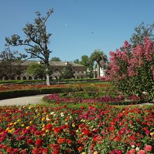 花でいっぱいの庭園
