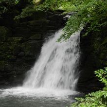 向かって右側の「雌滝」