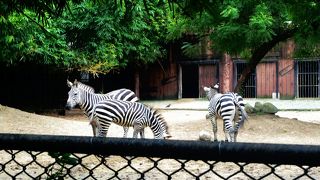 動物園