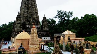 カメラは別料金