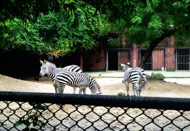 動物園