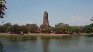 ひときわ大きい