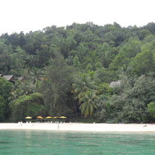 Manukan Island
