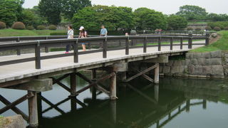 石垣にみとれる