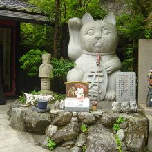 こんな猫ちゃんも