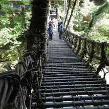 スリル満点です★