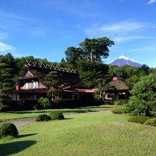 広いお庭から富士山が見られました