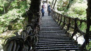 ドキドキ体験をどうぞ