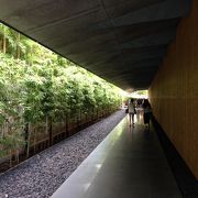 緑豊かな日本庭園がある美術館