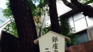 調べて始めて分かる二世柳