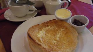 サニー・ランズ・バンの食べ過ぎに注意！